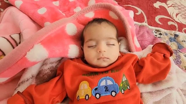 Experience The Challenging Rural Life In Iran With Hassan's Family @TIR78