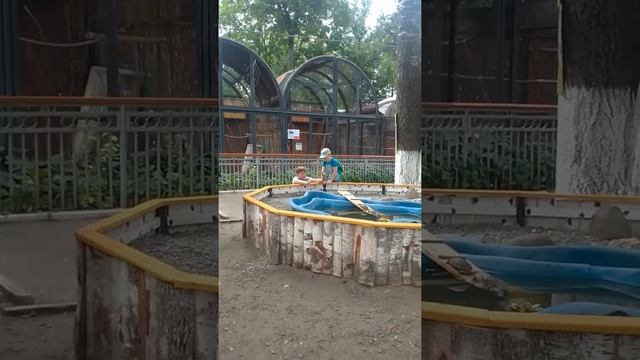 Захар с черепахами смотреть онлайн