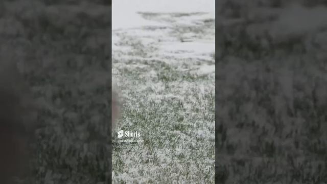 Из фильма «Русские• XXI век».8 смотреть онлайн