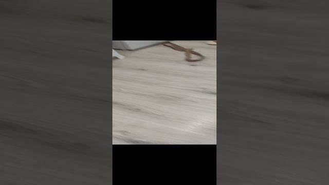 Маленькая помощница 🤣🤣🤣 смотреть онлайн