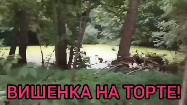 СМОТРЕТЬ ВСЕМ! ЭТО ПРОСТО УЖАС! VREDINA LIFE. ОБЗОР.