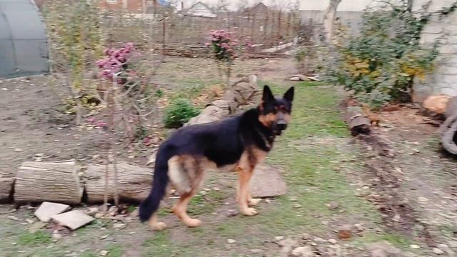 Горячие дни на Кубани.Жжём по полной.Все в работе. смотреть онлайн