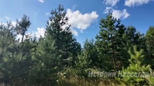 Миллионер предложил бродяжке стать «женой на месяц». А едва она пришла в дорогой особняк…