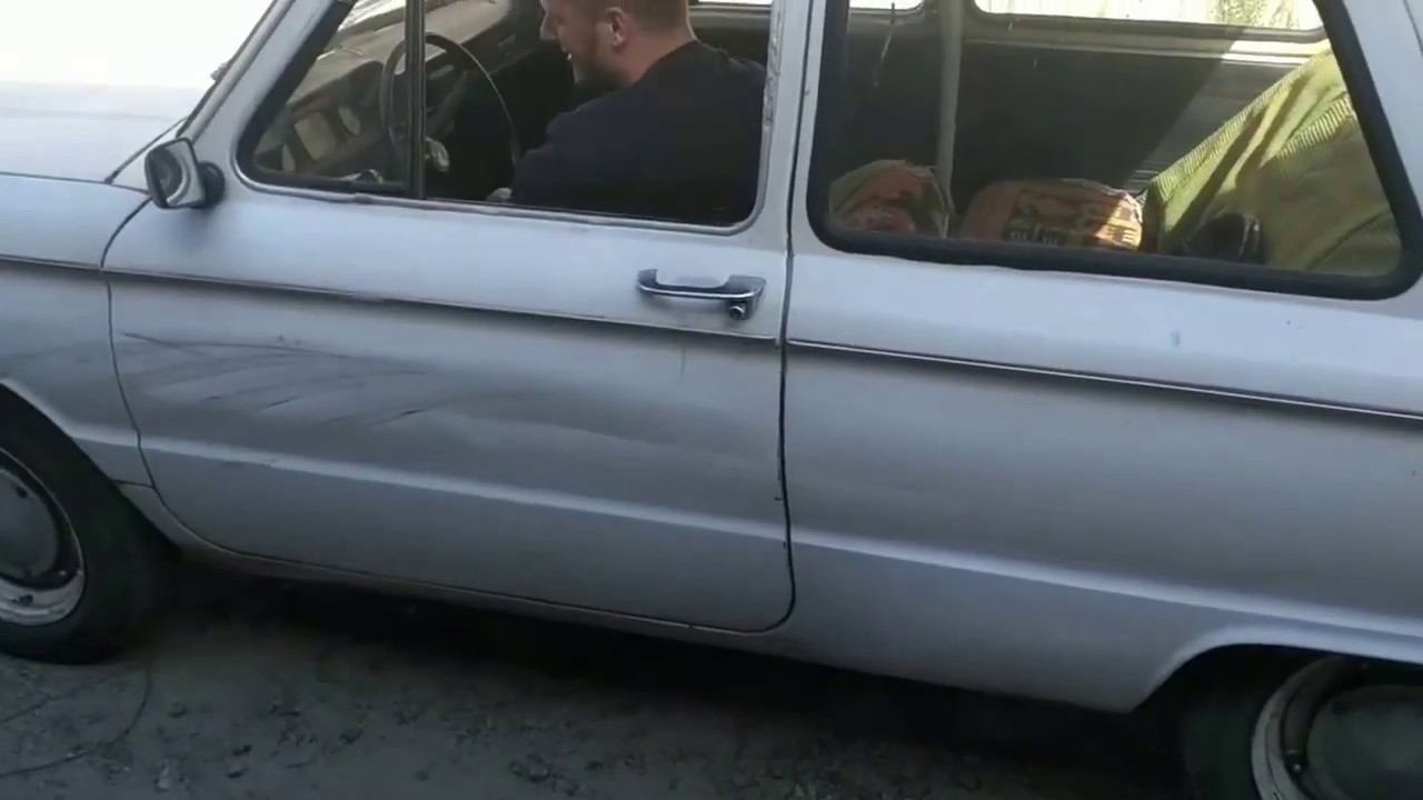 Зверь проснулся после трёх лет спячки смотреть онлайн