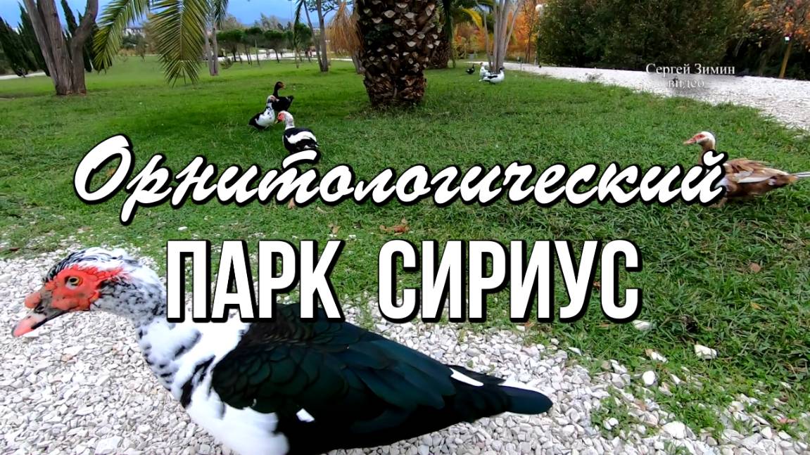 Орнитологический парк Сириус смотреть онлайн