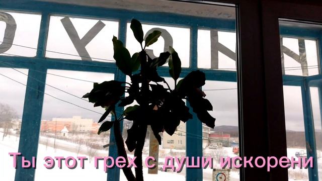 Свет - Мой Друг 2 смотреть онлайн