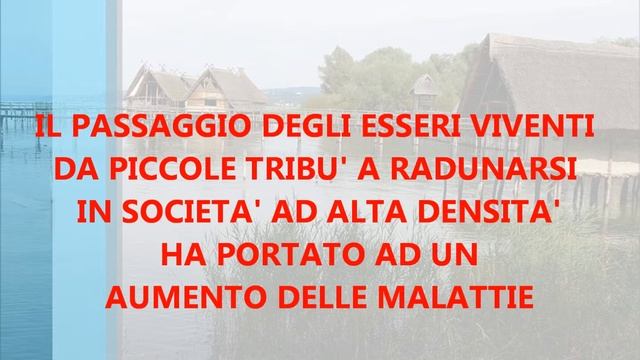 LE MUTAZIONI DEL DNA UMANO (Video) смотреть онлайн