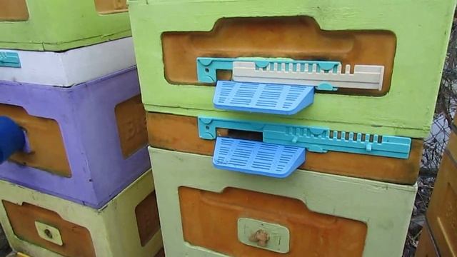 3.12.2024 пчелы в малоформатных ульях ( МФУ ) на пасеке в декабре смотреть онлайн
