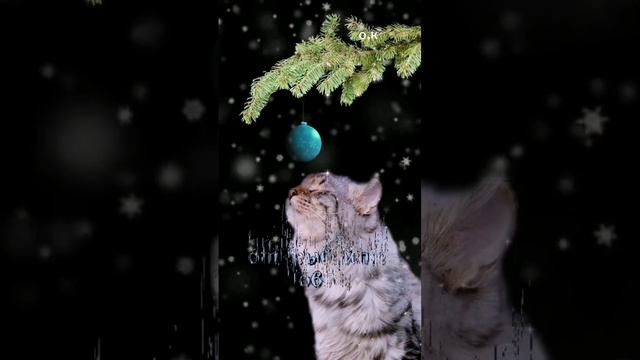 #Всего вам самого хорошего смотреть онлайн