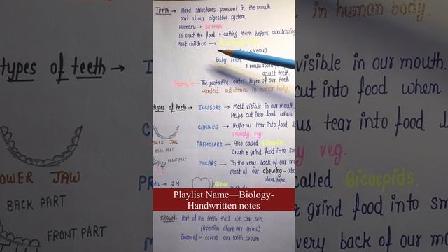 Teeth-- Digestive System || Biology || General Science || Handwritten Notes || An Aspirant !