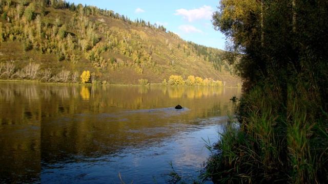 Осень смотреть онлайн
