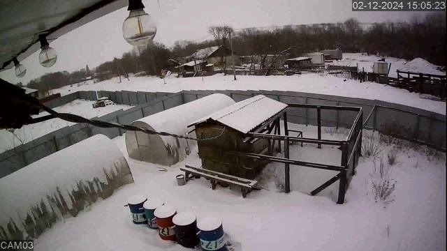 20241202_1 смотреть онлайн