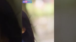 Красивая аспирантка, брошенная CEO, через 6 лет встречает его снова, приводя в шок