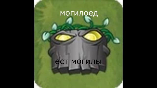 пвз