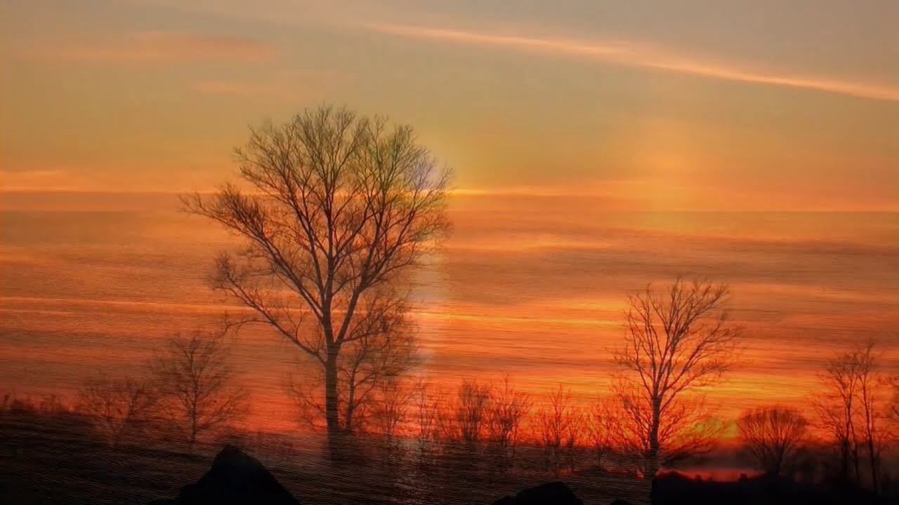 Orange Sunset Music смотреть онлайн