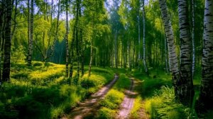 На похоронах Саши мать услышала его голос и бросилась к закрытому гробу. Вскрыли гроб и побледнели