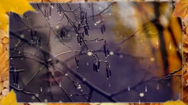 ВЕРОНИКА ДОЛИНА  " ЖИЗНЬ БЫЛА БЫ ИНОЙ..."