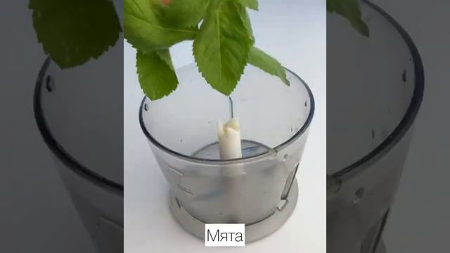 Рецепт мороженого с малиной⠀ смотреть онлайн