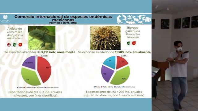 Las CITES, cómo se implementa en México y su relación con los tiburones mexicanos. смотреть онлайн