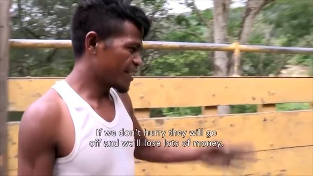 East Timor, Survival At All Costs | Deadliest Journeys