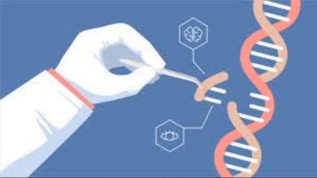 The human genome - Helfiz zacherin production 2020 смотреть онлайн