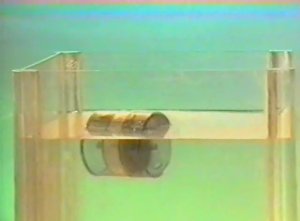 Физика. Опыты. Механика сплошных сред. Плавание тел. Непотопляемость корабля