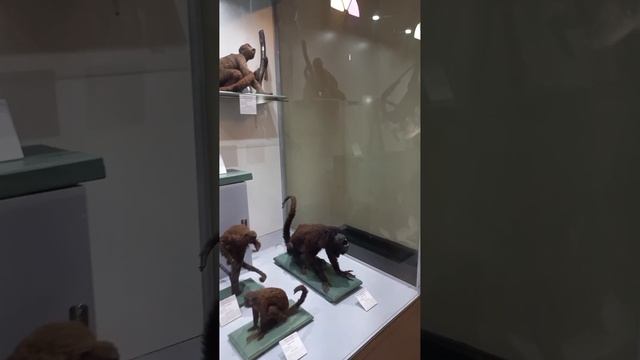 Краеведческий музей