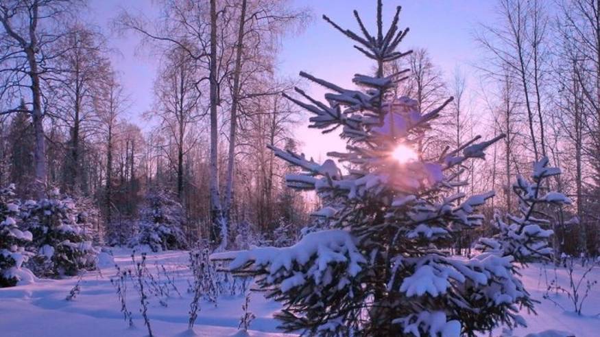 ЁЛОЧКЕ НЕ ХОЛОДНО ЗИМОЙ смотреть онлайн