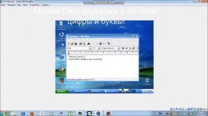 Запускаем MEMZ на Windows XP