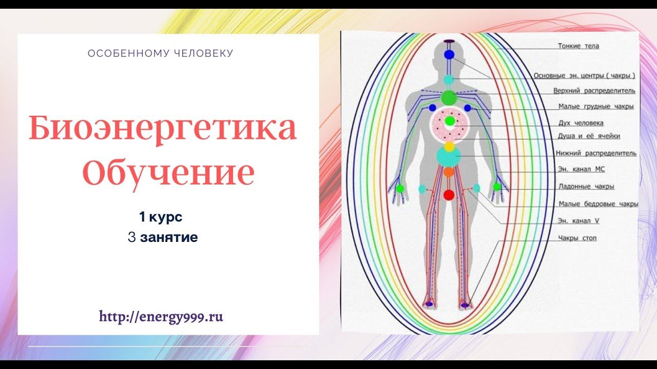Биоэнергетика Обучение. 1 курс. 3 занятие. смотреть онлайн