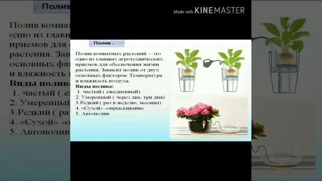 Цветовод смотреть онлайн