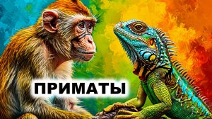 10.1. Общая характеристика приматов