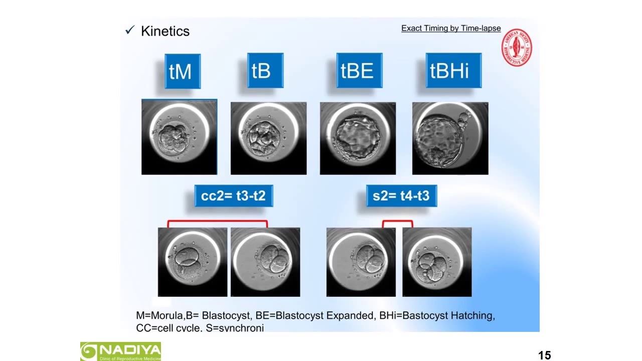 Морфокинетическое исследование эмбрионов с использованием Embryoscope® УАРМ 2014 смотреть онлайн