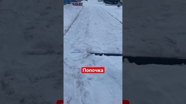 Снега больше пол тонны))) смотреть онлайн