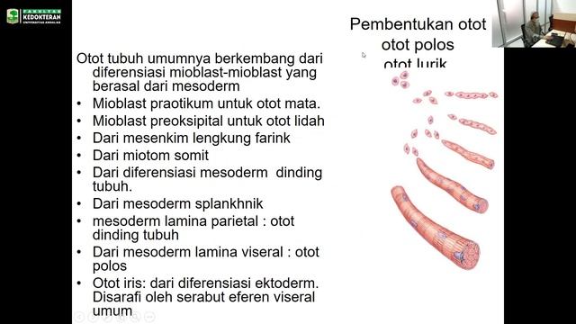 Perkembangan Masa Janin Susunan Otot dan Tulang смотреть онлайн
