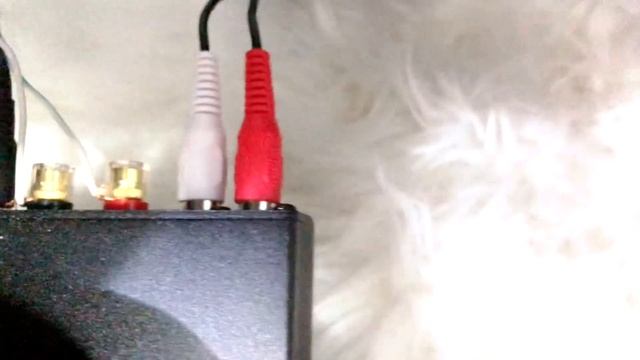 Nobsound G2 Subwoofer Power Amplifier Mini Mono SUB Amp Bridge Home Theater Review