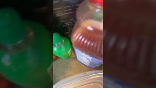 Coctel de camarones смотреть онлайн