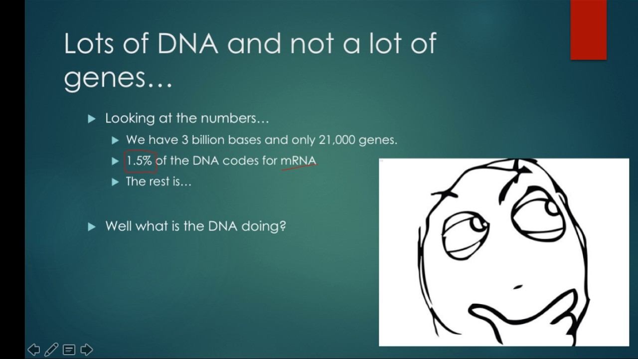 Chapter 21 Video смотреть онлайн