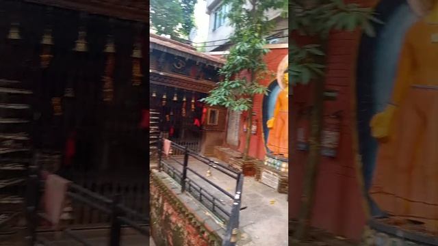 Храм богини Вайшно Деви, а в центре - пальма с бананами! #непал #mountains #путешествия смотреть онлайн