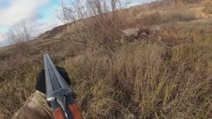 ЗАГОННАЯ ОХОТА НА КОСУЛЮ СЛАВНАЯ БЫЛА ОХОТА #hunting #охота