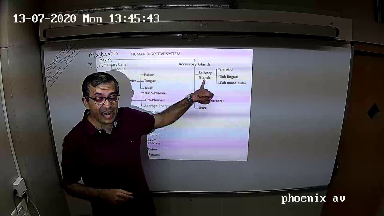DIGESTION 1A смотреть онлайн