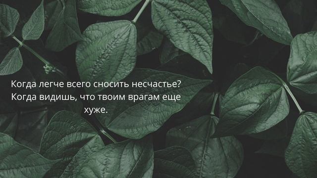 20 великих цитат от философов.Фалес