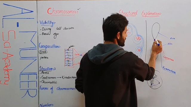 CHROMOSOMES | HAPLOID | DIPLOID| LEC 27 | CHROMATID| CENTROMERE | DNA | RNA| SIKANDAR HAYAT | #ALMS