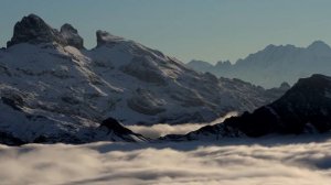 Если вы хотите рассмешить Бога, расскажите ему о своих планах.