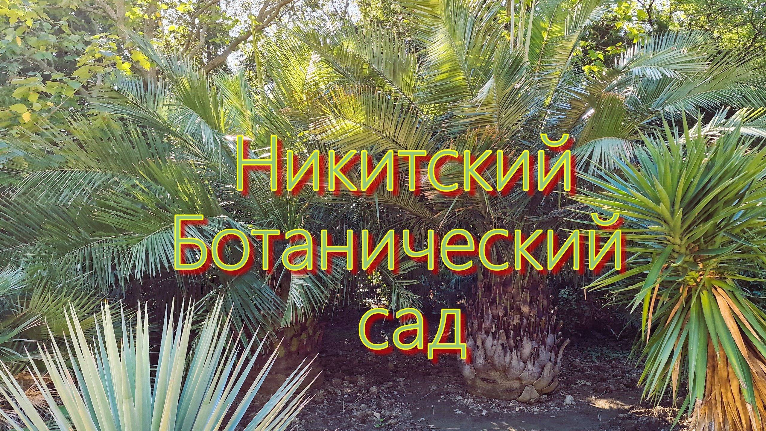 Крым. Никитский Ботанический сад смотреть онлайн