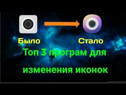 Университетные учителя