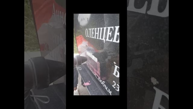 Реставрация памятников, гравировка и позолота текста, надписи, даты. Восстановление портрета.