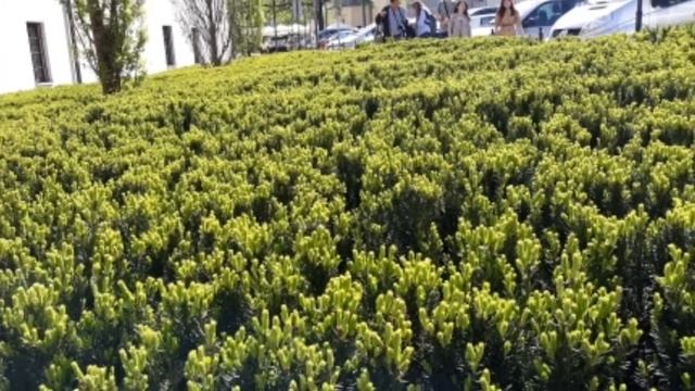 Польша смотреть онлайн