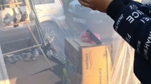 Ярмарка-выставка голубей в г.Мариуполь