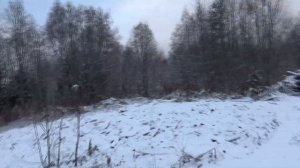 Монопородные состязания русских гончих по зайцу беляку на "Кубок Северо-Запада" - 2024 года